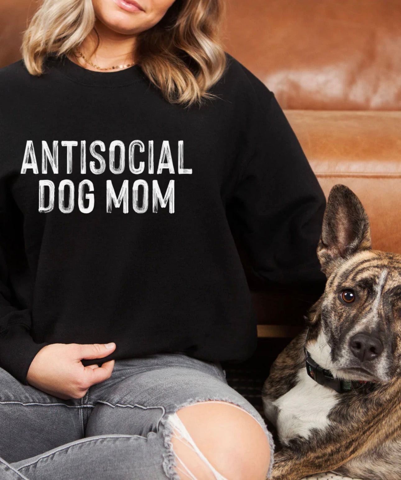 Antisocial Dog Mom