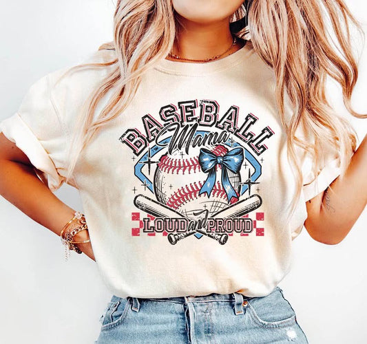 Baseball Loud & Proud