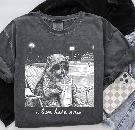 Baseball Raccoon - White