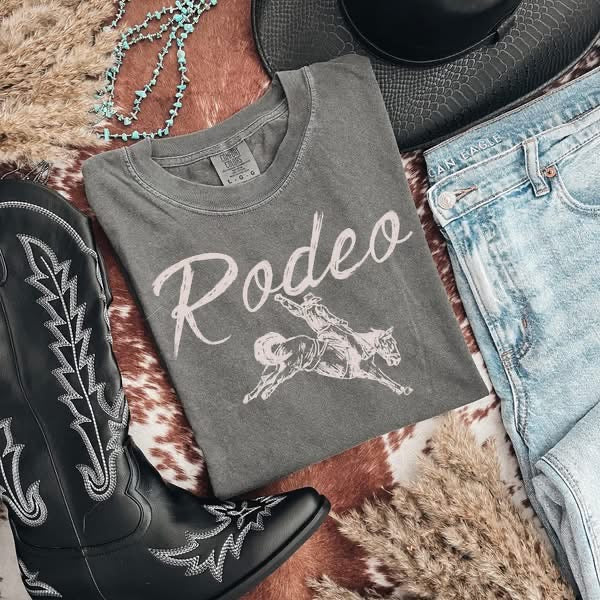 Rodeo Horse